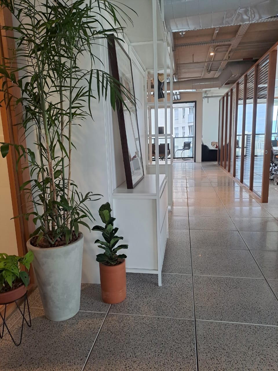 WhatsApp Image 2022-10-22 at 10.15.11.jpeg